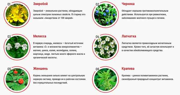 Растительные aнaльгетики и обезболивающие травы