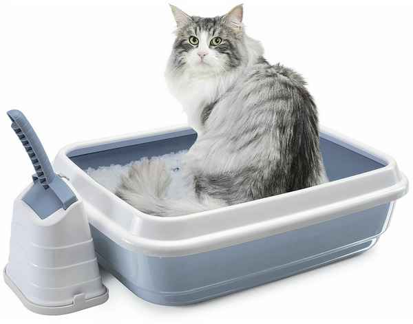 Рейтинг лучших туалетов (лотков) для кошек на 2023 год с достоинствами и недостакткками .