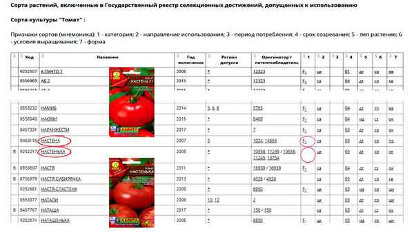 Актуальный на сегодня рейтинг лучших сортов помидор для теплиц на 2023 год.