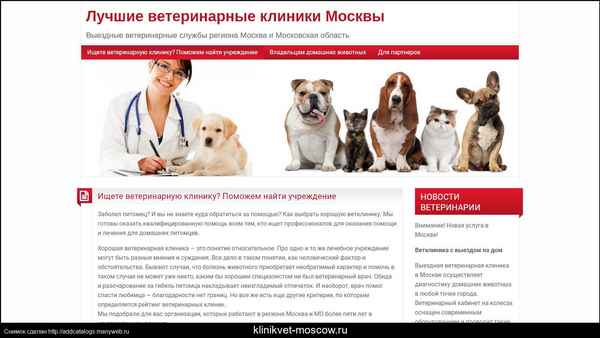 Обзор лучших ветеринарных клиник Москвы на 2023 год - частные и государственные