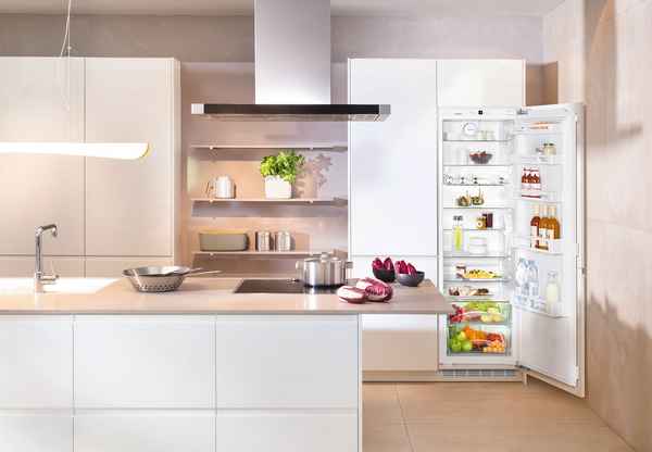 Лучшие холодильники в 2023 году по цене до 25000 рублей