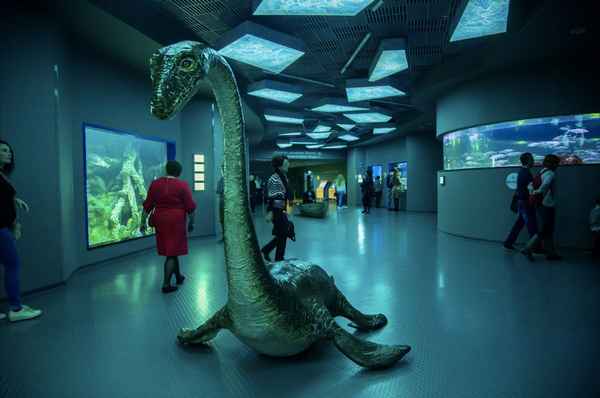 Как выбрать самый интересный музей в Москве