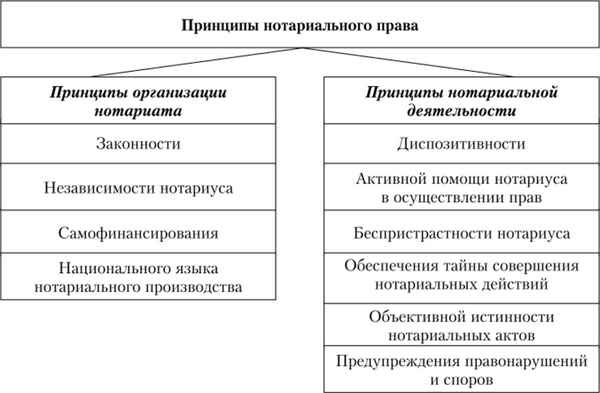 Список лучших нотариальных контор Волгограда в 2023 году с описанием принципов их работы.