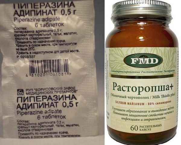 Какие препараты лучше использовать при лечении паразитов