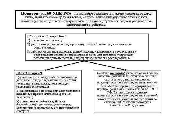 Права и обязанности понятого по УПК РФ