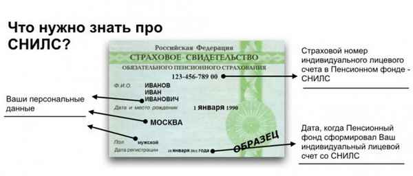 Схемы мошенничеств со СНИЛС и паспортными данными